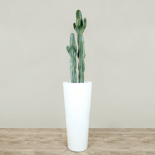 Artificial Cactus Plant <br> 120cm