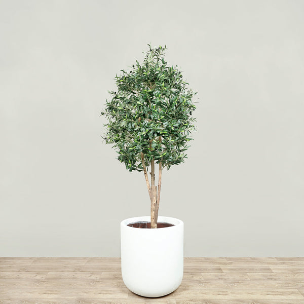 Artificial Olive Tree <br> 180cm