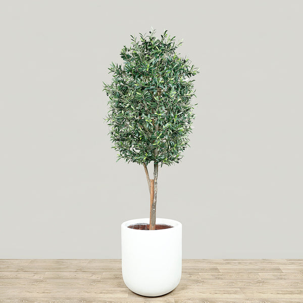 Artificial Olive Tree <br> 210cm