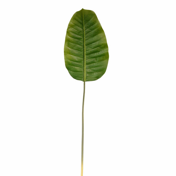 Banana Leaf - Bloomr