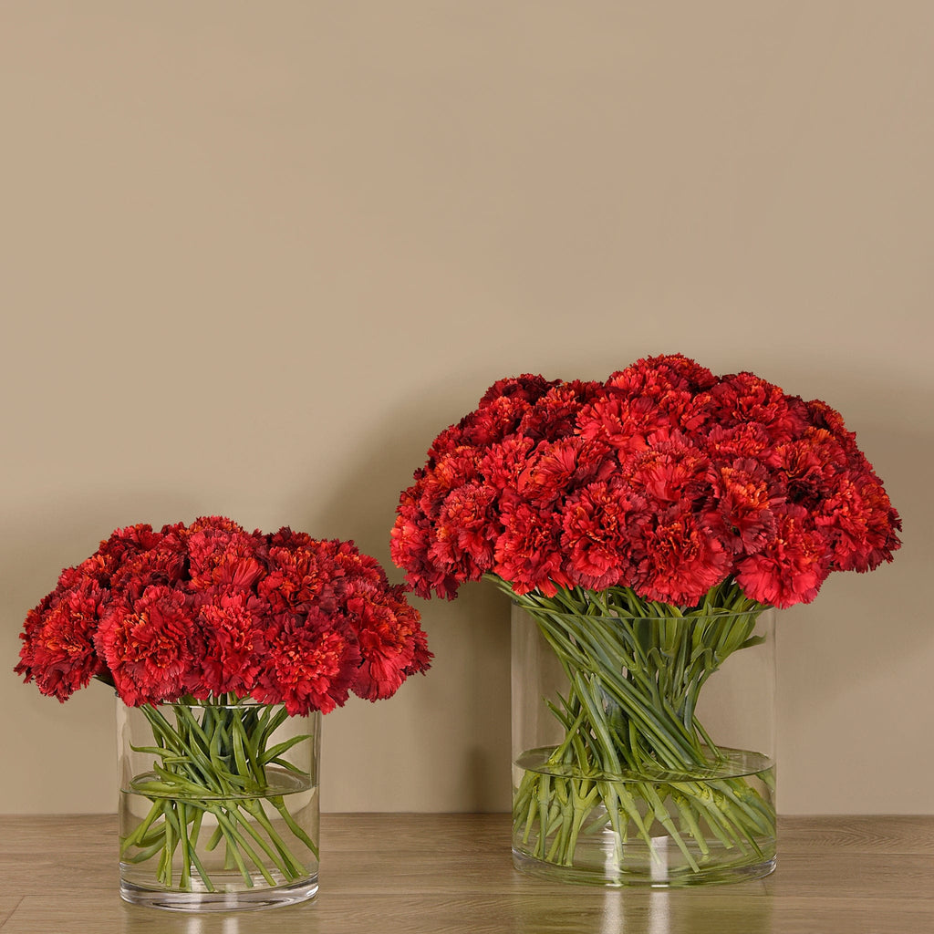 Carnation Arrangement in Glass Vase - Bloomr