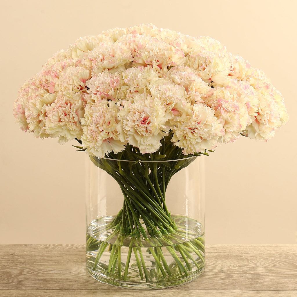 Carnation Arrangement in Glass Vase - Bloomr