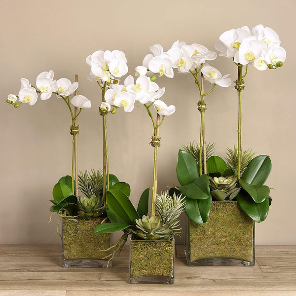 Artificial Orchid & Succulent Arrangement - Bloomr