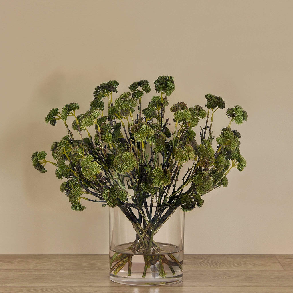 Sedum Arrangement in Glass Vase - Bloomr