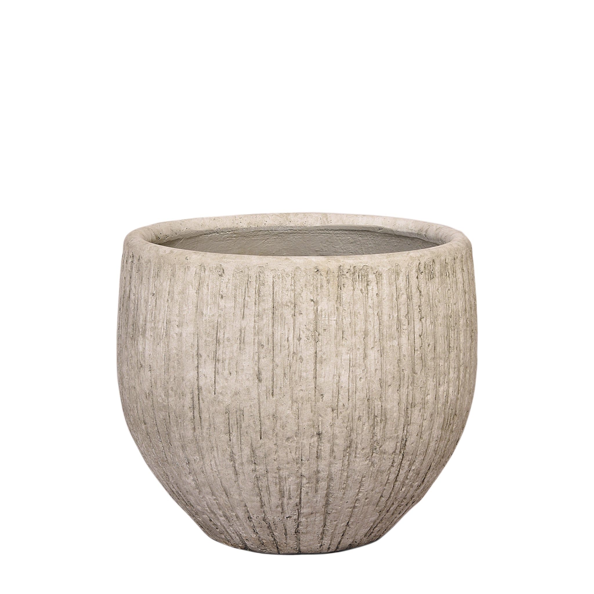 Round Ficonstone Tree Pot - Bloomr
