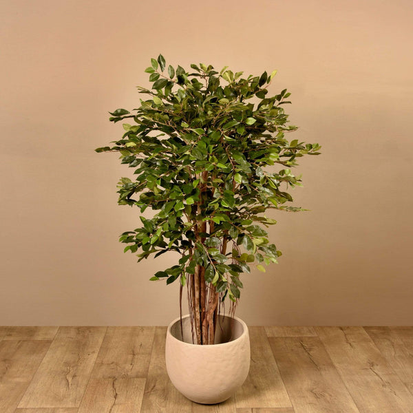 Artificial Ficus Retusa Tree - Bloomr