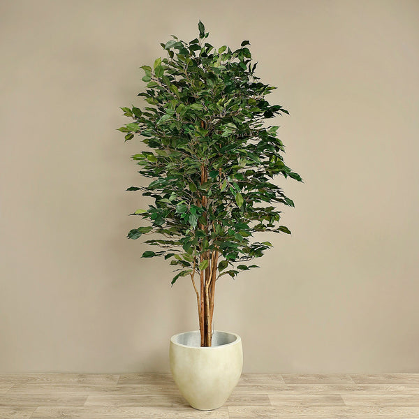 Artificial Ficus Tree - Bloomr