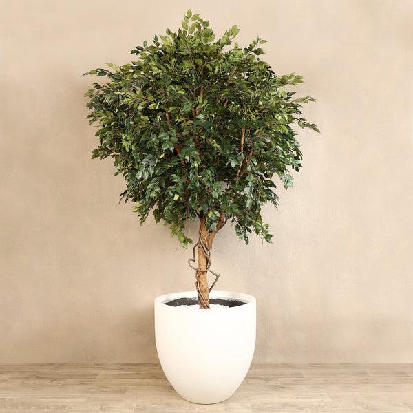 Artificial Ficus Tree <br> 300cm - Bloomr