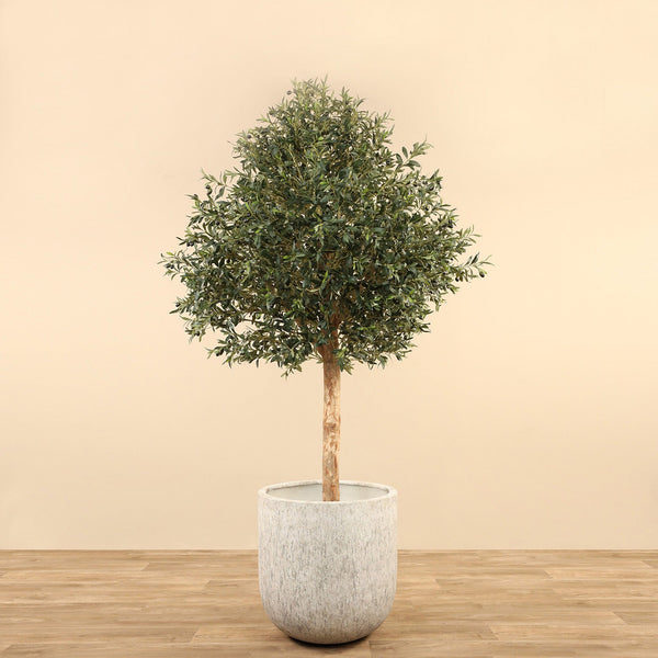 Artificial Olive Tree <br> 240cm - Bloomr