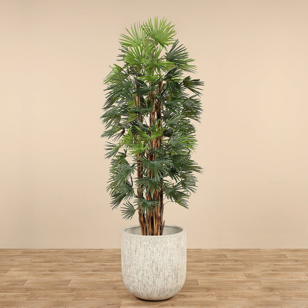 Artificial Raphis Palm - Bloomr